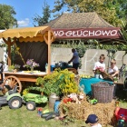 zdjęcie nr 37