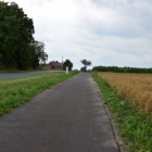 zdjęcie nr 6