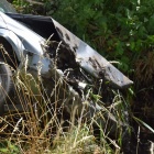 Wjechała do rowu pomiędzy Nielęgowem i Gryżyną (3)