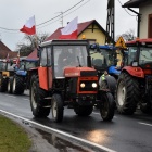 zdjęcie nr 12