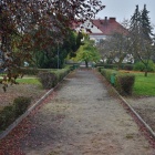 zdjęcie nr 4