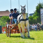 zdjęcie nr 71