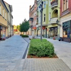 zdjęcie nr 13