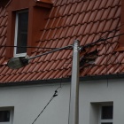 zdjęcie nr 1
