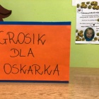 zdjęcie nr 17