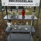 zdjęcie nr 8