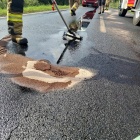 zdjęcie nr 5