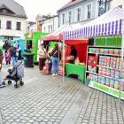 zdjęcie nr 11