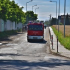 zdjęcie nr 4