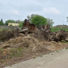 zdjęcie nr 33