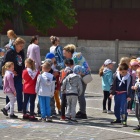 zdjęcie nr 15