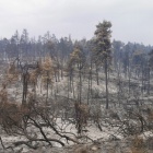 Strażacy z Kościana działają w Grecji (5)