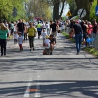 zdjęcie nr 34