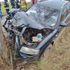 Wjechał w drzewo, Borowo Czempiń (3)