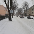 zdjęcie nr 4
