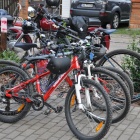 zdjęcie nr 52