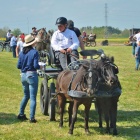 zdjęcie nr 21