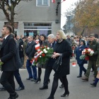 zdjęcie nr 18