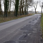 zdjęcie nr 15