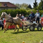 zdjęcie nr 37