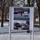 zdjęcie nr 28