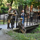zdjęcie nr 37