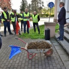 zdjęcie nr 15