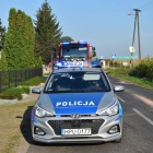 zdjęcie nr 8