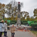 zdjęcie nr 15