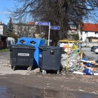 zdjęcie nr 8