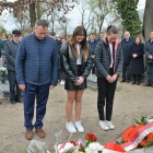 zdjęcie nr 14
