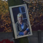 zdjęcie nr 31