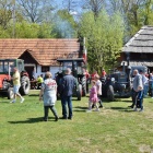 zdjęcie nr 60