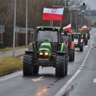 zdjęcie nr 18