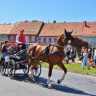 zdjęcie nr 25
