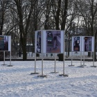 zdjęcie nr 23