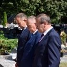 zdjęcie nr 15