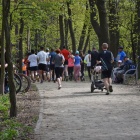 zdjęcie nr 15