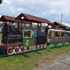 zdjęcie nr 19