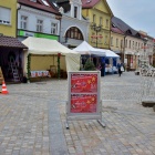 zdjęcie nr 8