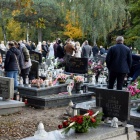 zdjęcie nr 25