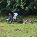 zdjęcie nr 71