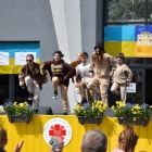 zdjęcie nr 14