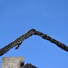 Pożar w Starej Przysiece, potrzebna pomoc (5)