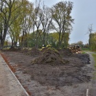 zdjęcie nr 5