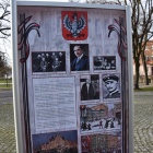 zdjęcie nr 18