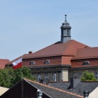 zdjęcie nr 8