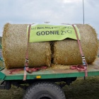 zdjęcie nr 35
