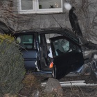 zdjęcie nr 17