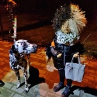 zdjęcie nr 11